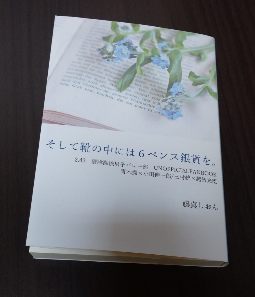 そして靴の中には6ペンス銀貨を。(※カバーあり版)