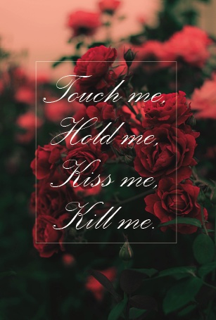 Touch me, Hold me, Kiss me, Kill me.