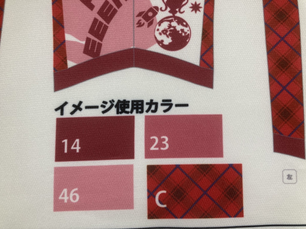 松田亜利沙 サイクルジャージ 【二次受注】