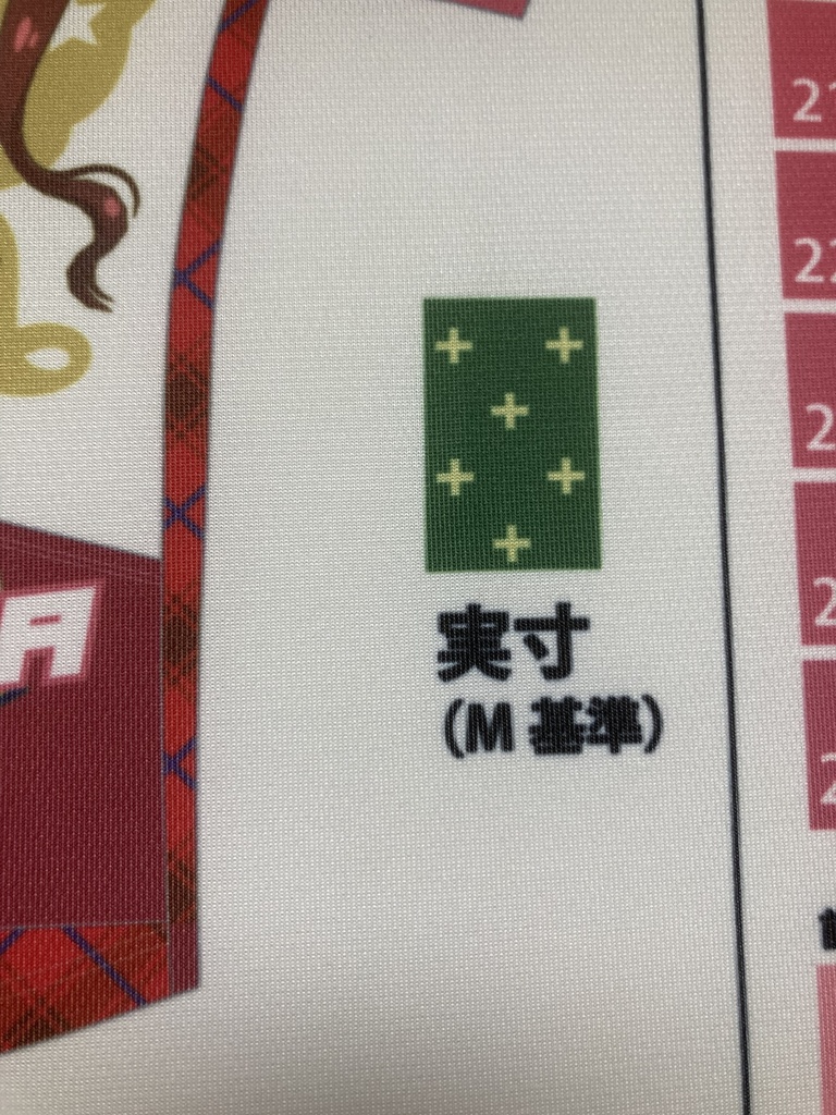 松田亜利沙 サイクルジャージ 【二次受注】