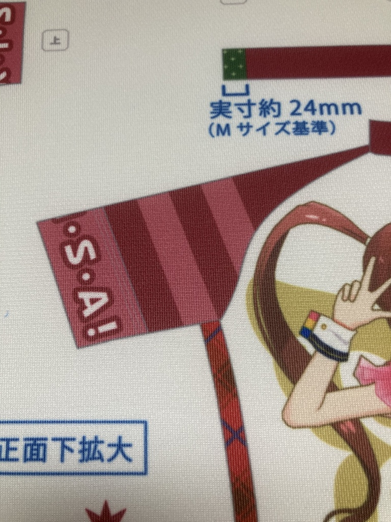 松田亜利沙 サイクルジャージ 【二次受注】