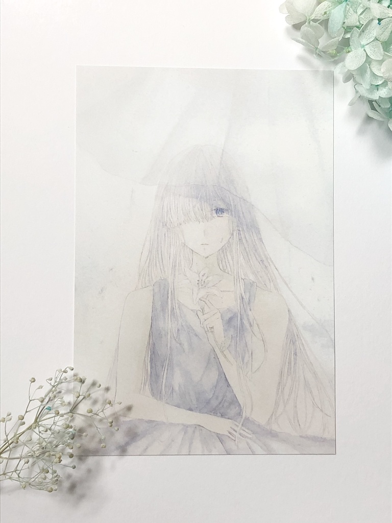 ポストカードセット