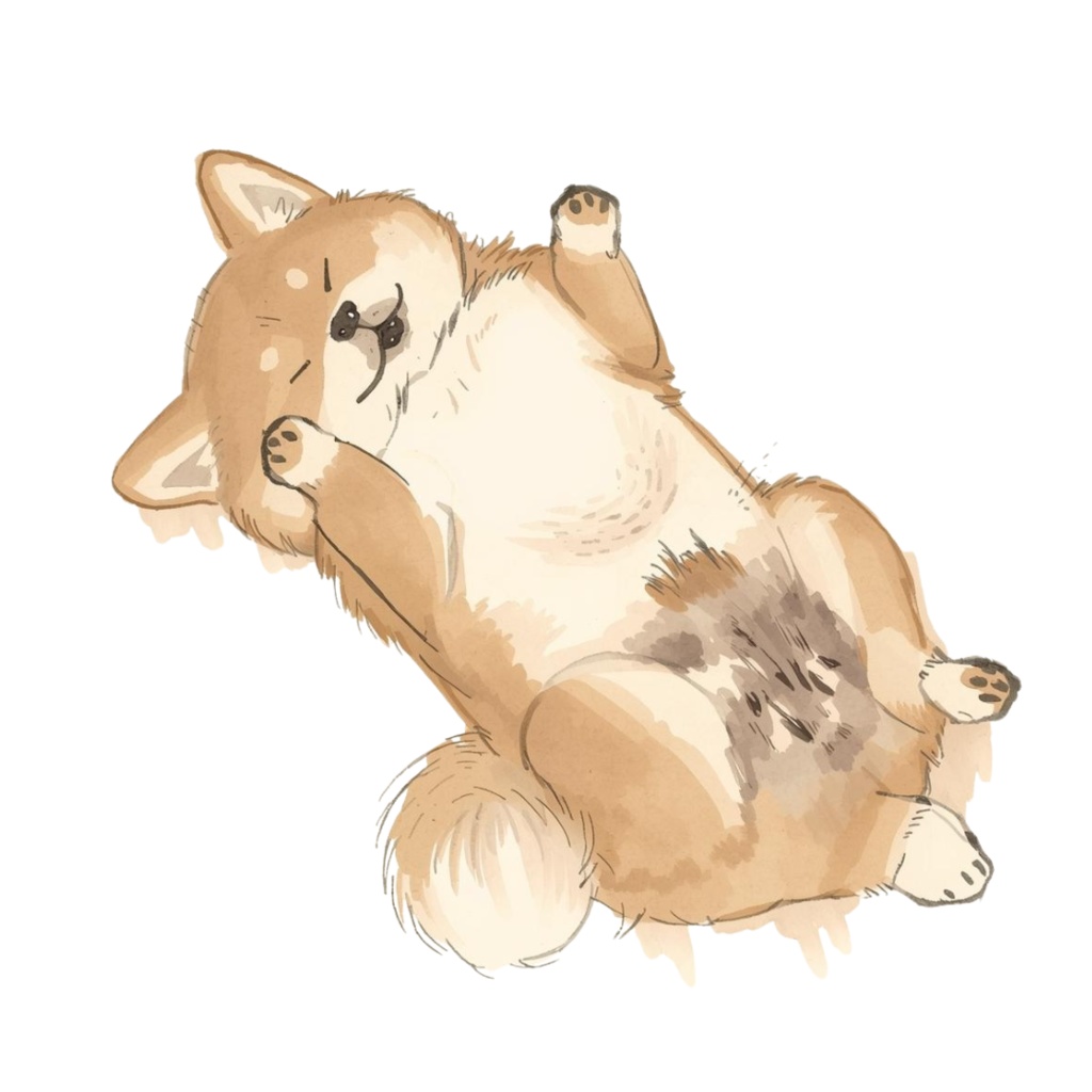 Heso-ten Shiba Inu Clipart|へそ天柴犬クリップアート12点セット(Cute Sleeping Dog Illustration)PN
