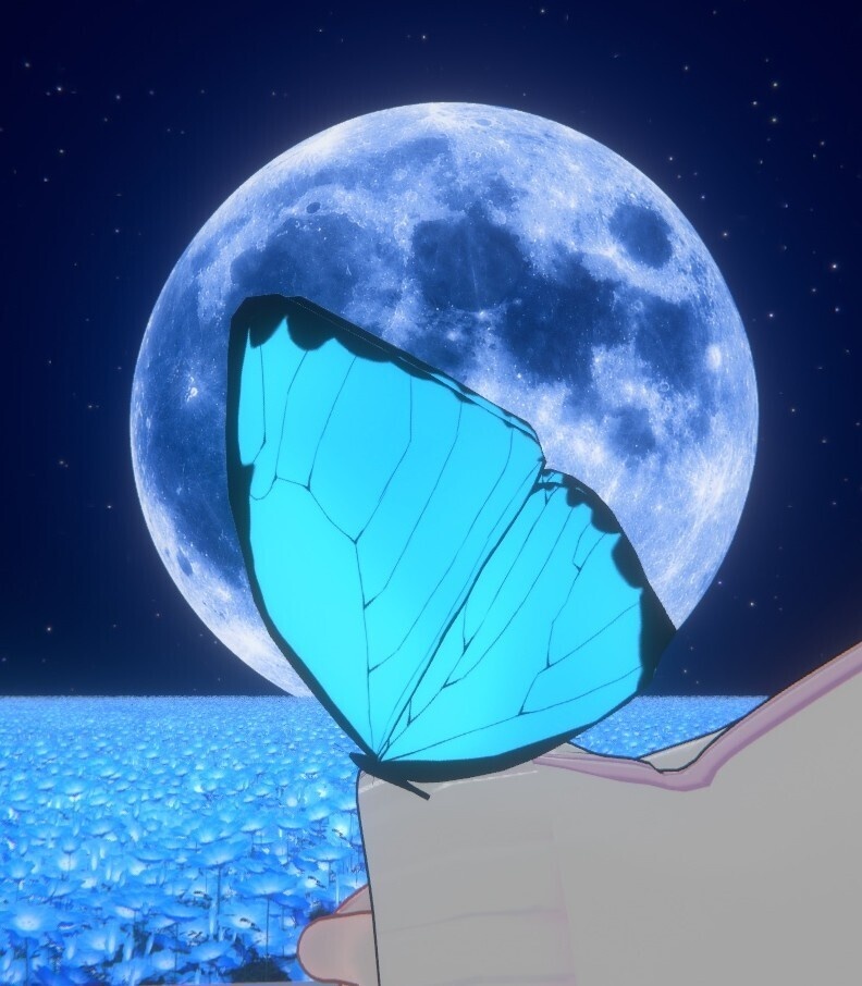 光る蝶々