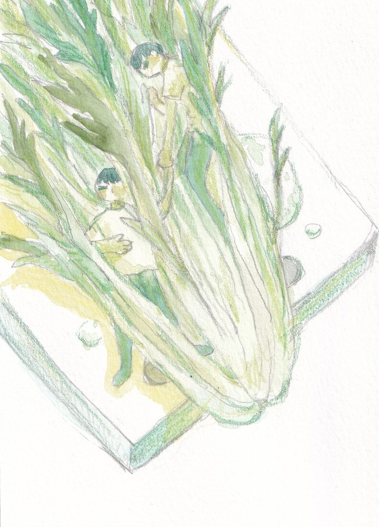原画｢水菜｣