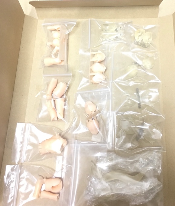 【AKG01(AKガーデン第1回のガデ子だよw)ガデ子ちゃん ハチイチふる可動】 8分の1スケール 3D プリンター 出力 3色 キット (c)acus/しのづかあつと ★販売中〜 匿名配送あんしんBOOTHパック ネコポス ガデ子ちゃん8分の1スケールキット販売ガデ(ハチイチうぇるバイクは別売です)