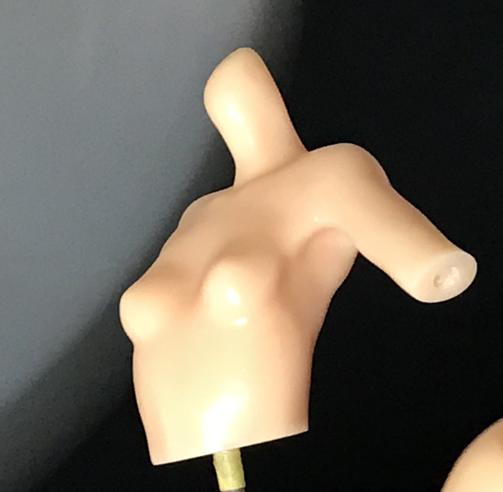 単品で決済して下さい 60サイズを二箱、60サイズを2箱、60サイズの料金で発送できません 「アドミラル・ヒッパーちゃん戦闘服ver」 7分の1出力レジンkit★二次創作通販