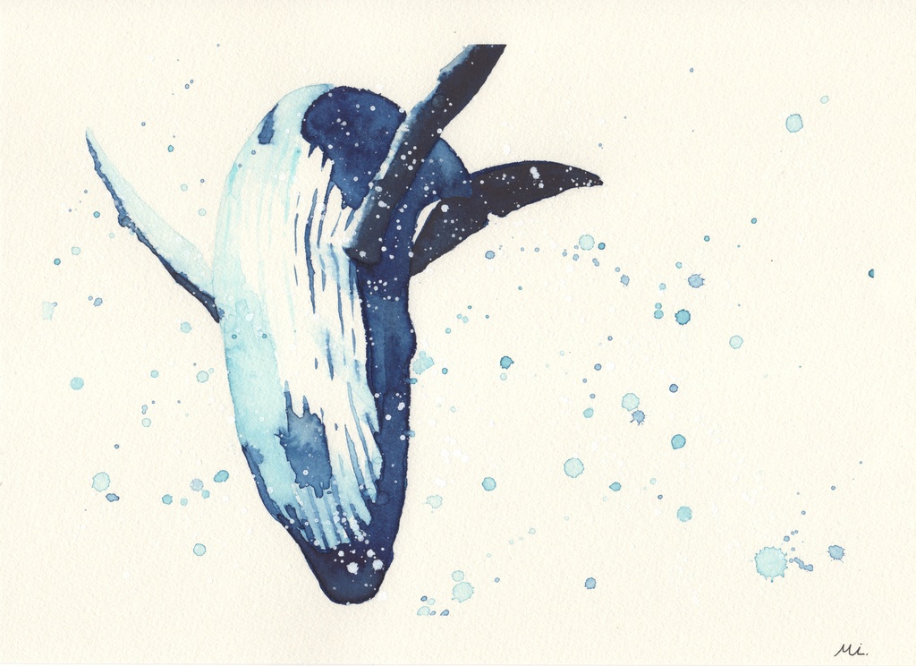 【水彩原画】ザトウクジラ B5サイズ（001）