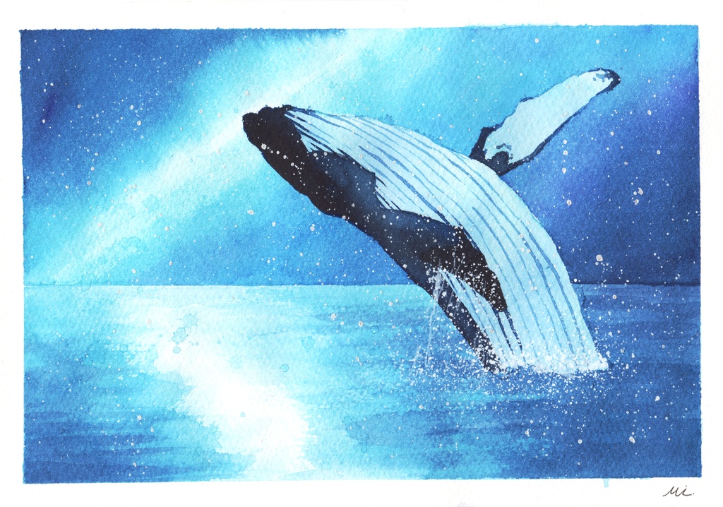 【水彩原画】ザトウクジラ 158×227mm