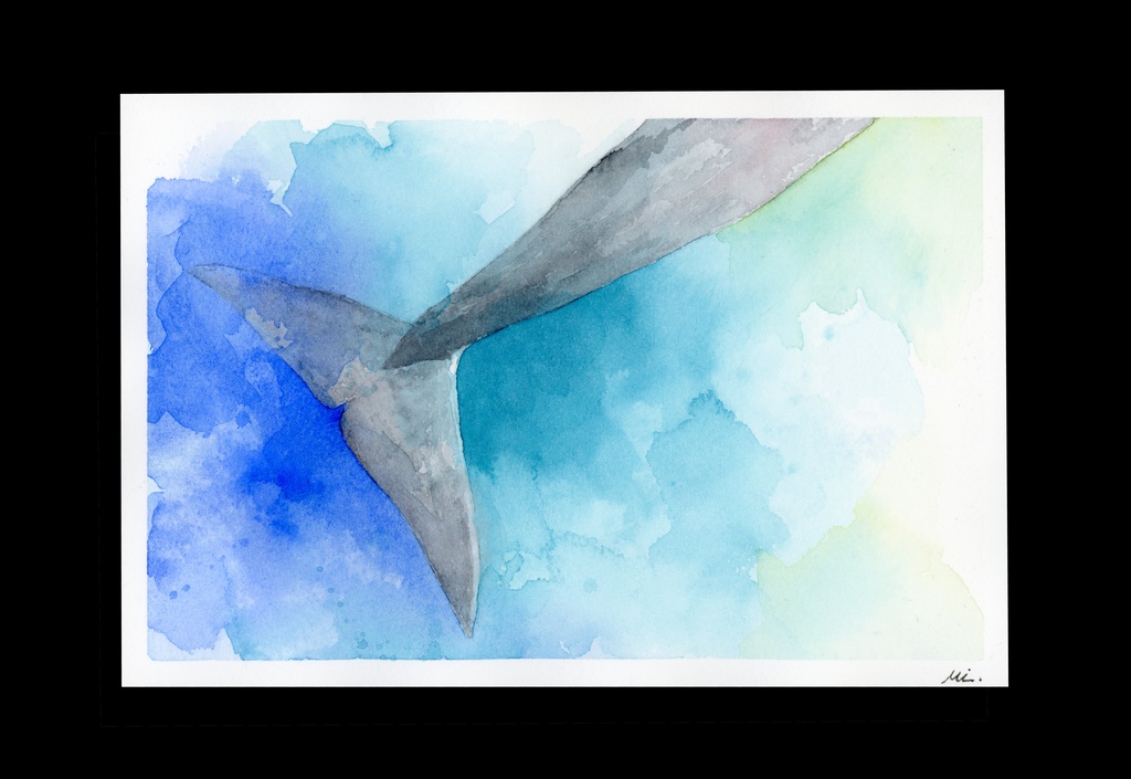 【水彩原画】シロナガスクジラの尾 155×230mm