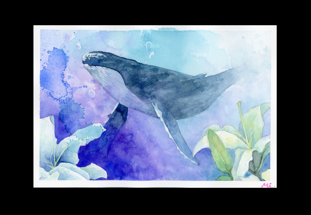 【水彩原画】ザトウクジラと百合の花 155×230mm