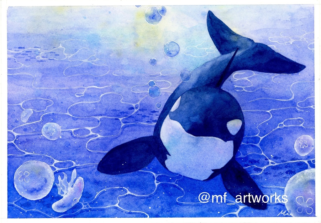 【水彩原画】海の中のシャチとクラゲ A4 210×297mm