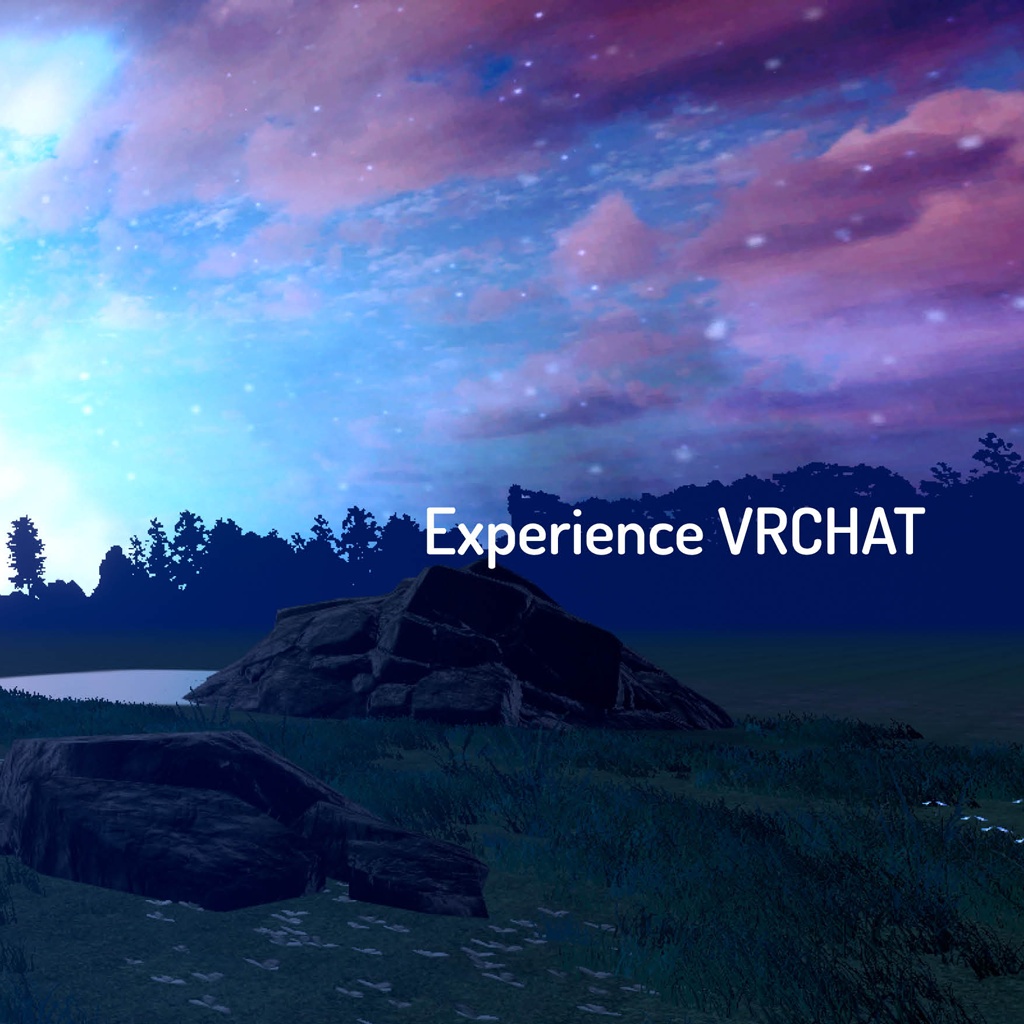 Experience VRCHAT