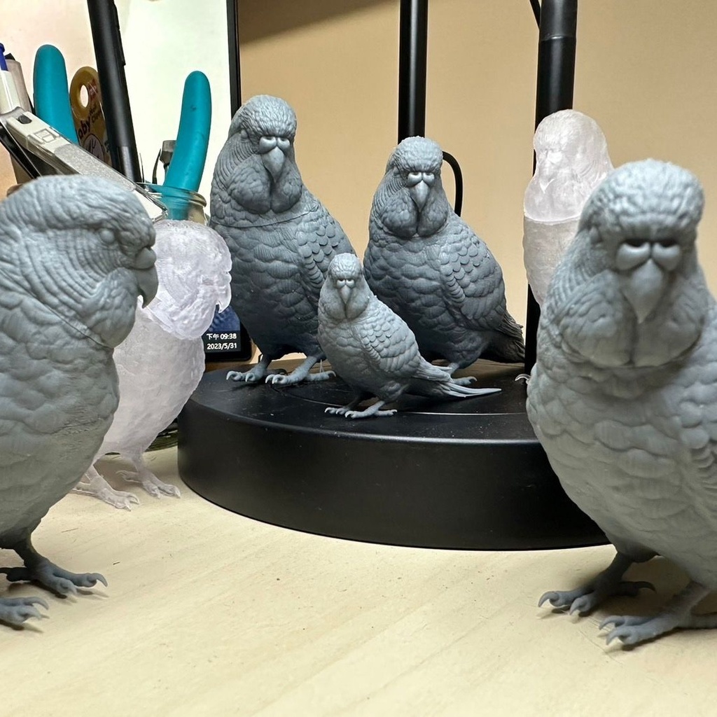 セキセイインコ（1：1) - mrbradehu - BOOTH