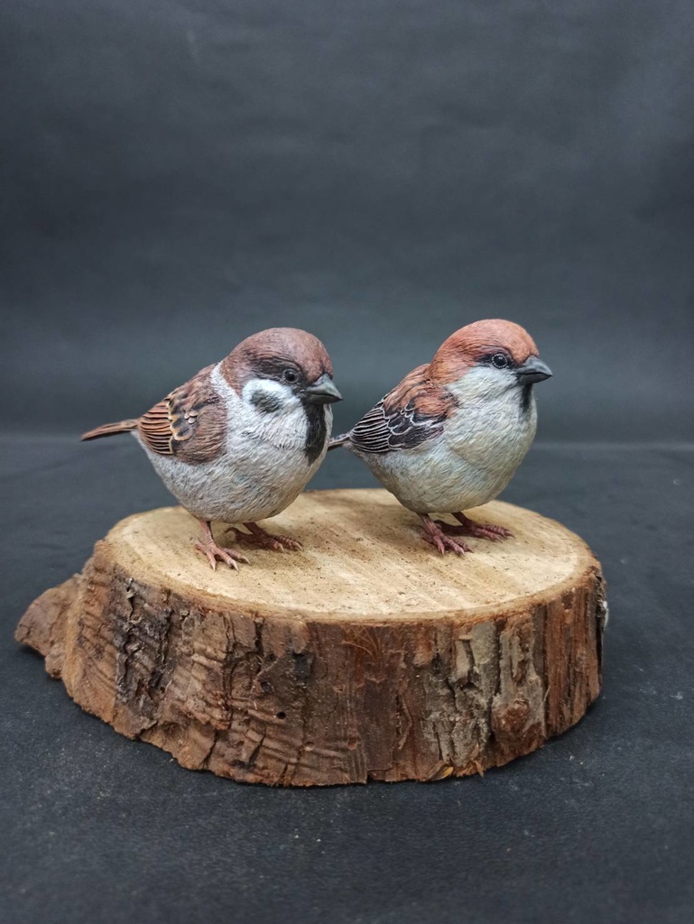 スズメモデル(1:1)