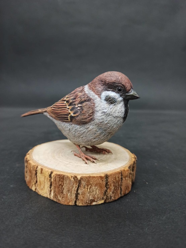 スズメモデル(1:1)