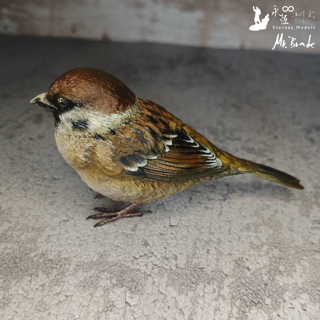 スズメモデル(1:1)