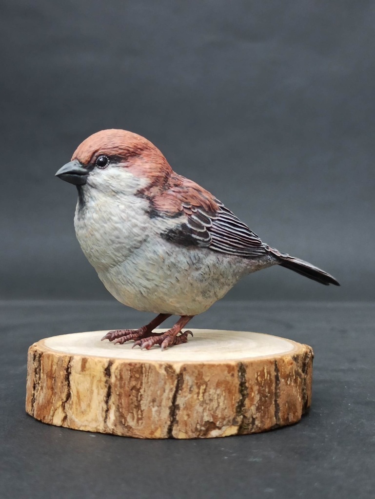 スズメモデル(1:1)