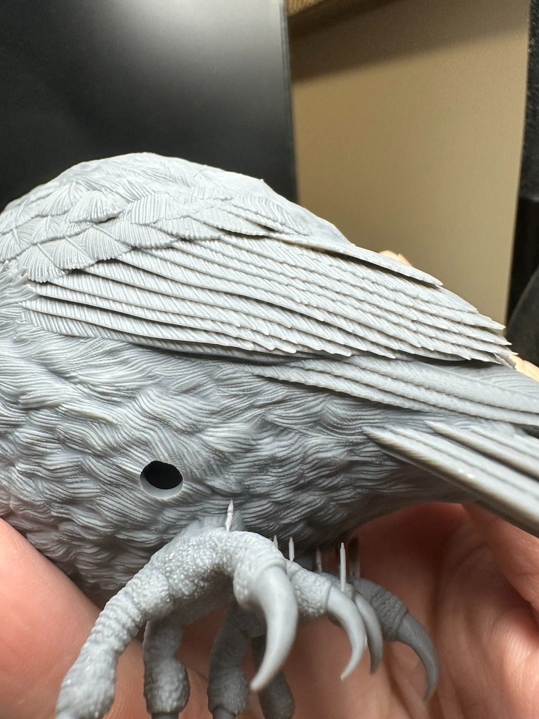 ヒメフクロウ(1:1)