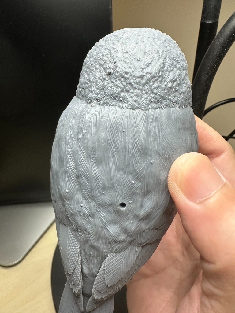 ヒメフクロウ(1:1)