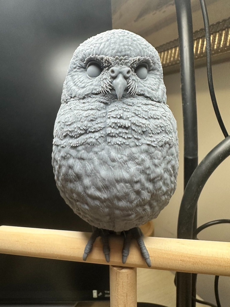 ヒメフクロウ(1:1)