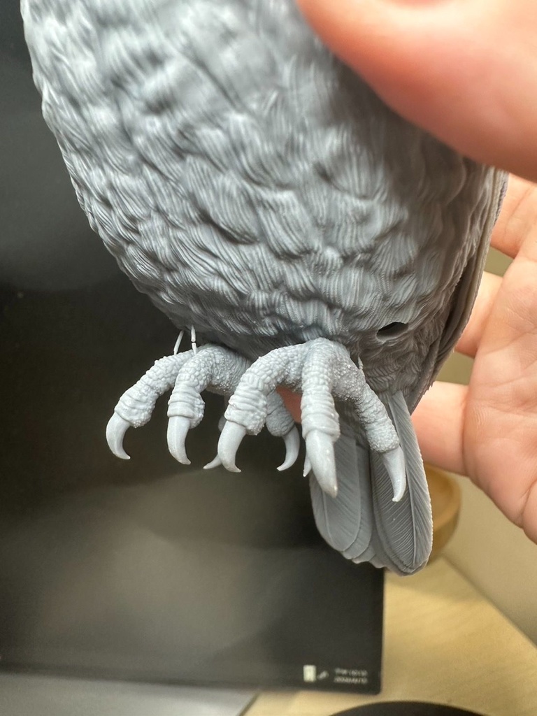 ヒメフクロウ(1:1)