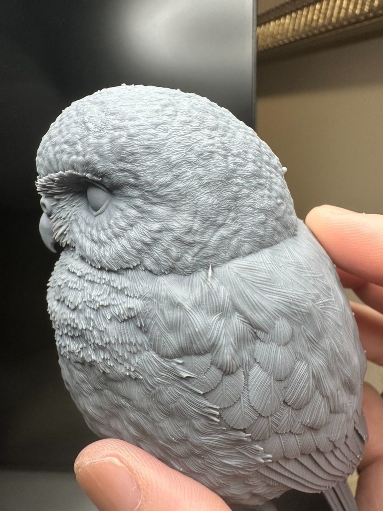 ヒメフクロウ(1:1)