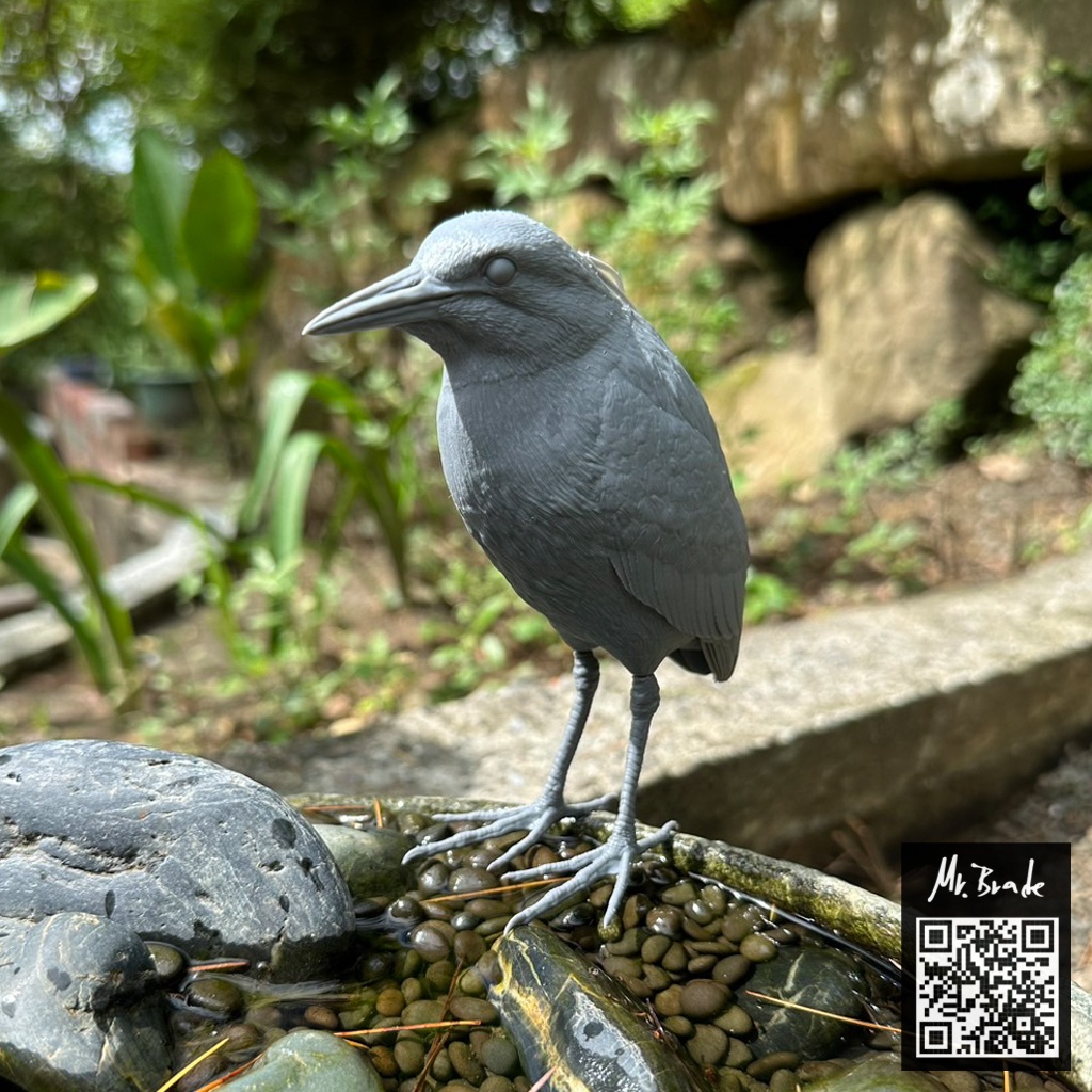 夜鷺 (ゴイサギ) 1:5