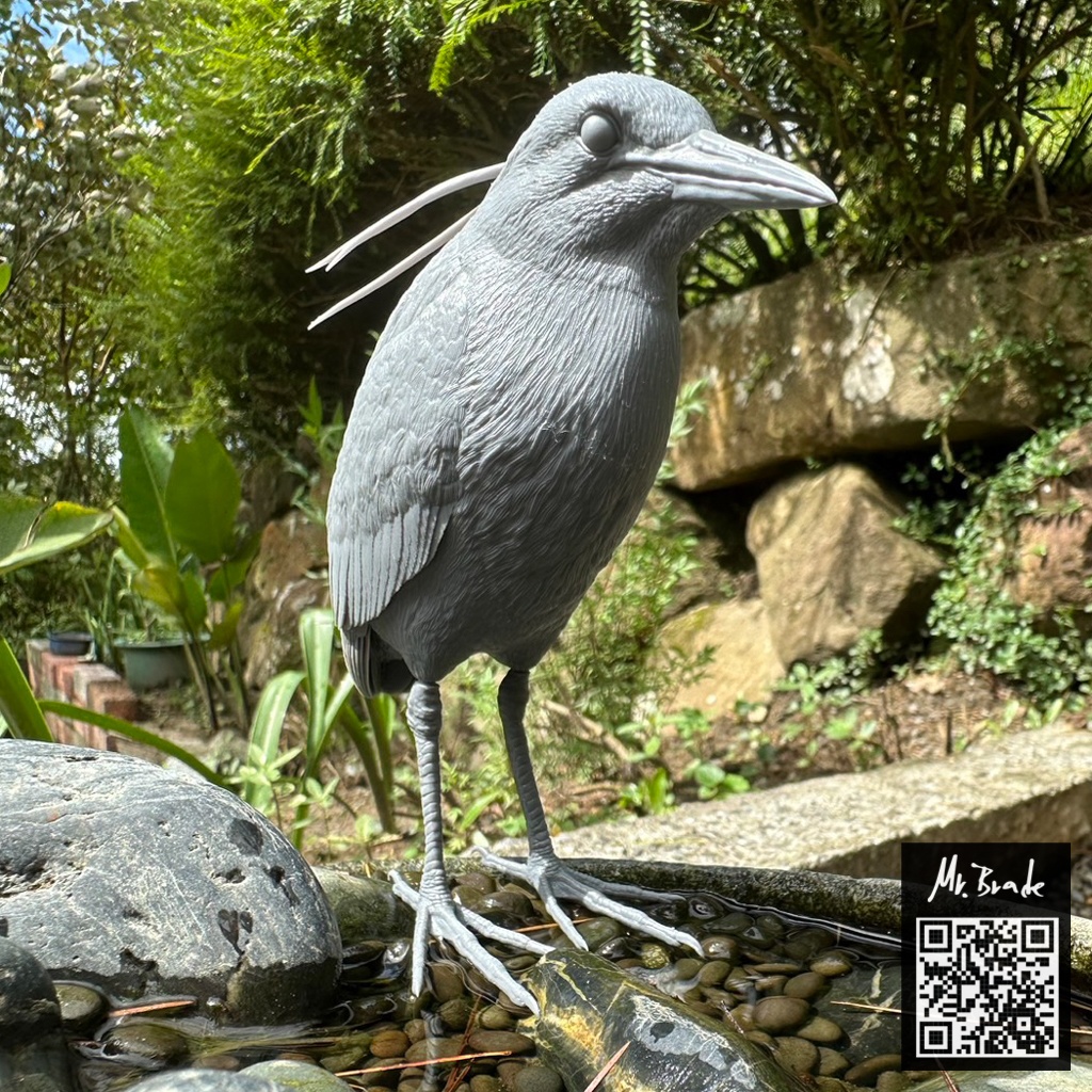 夜鷺 (ゴイサギ) 1:5