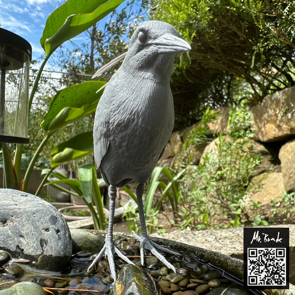 夜鷺 (ゴイサギ) 1:5