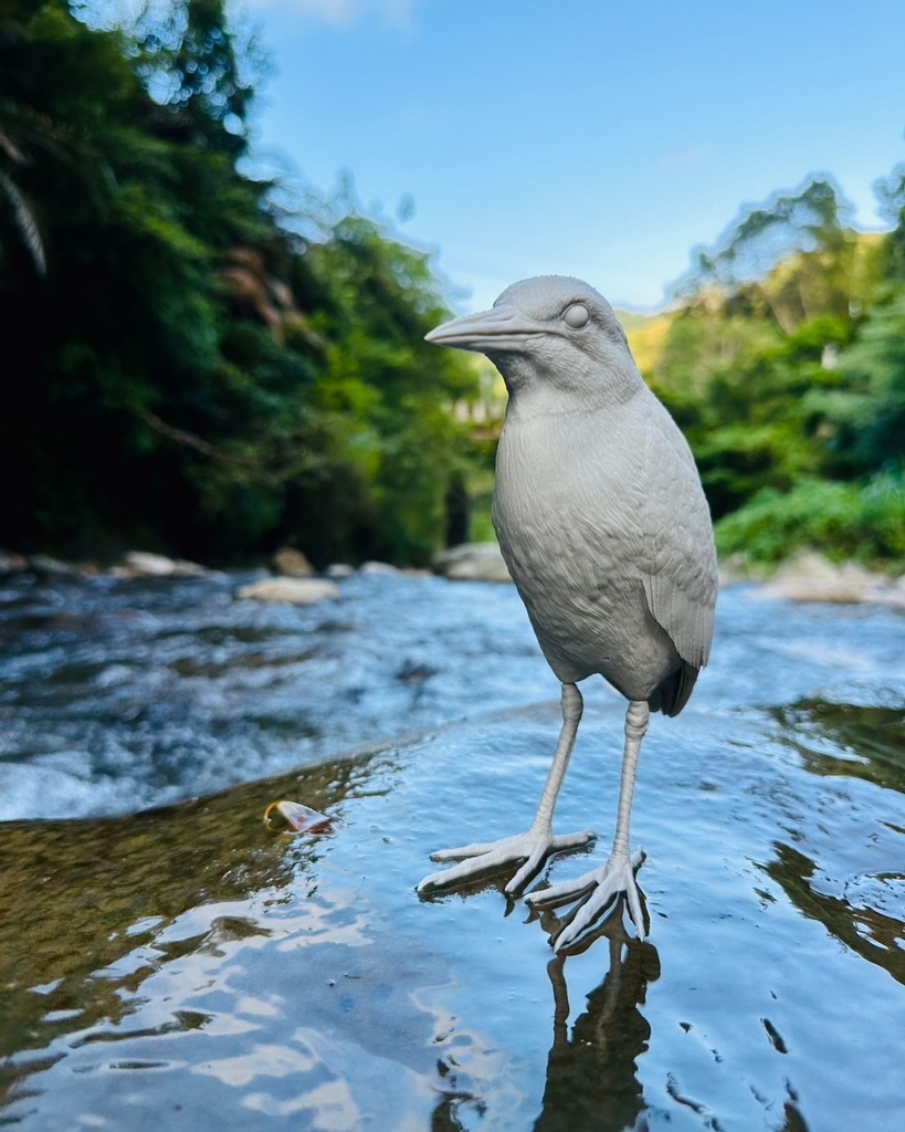 夜鷺 (ゴイサギ) 1:5