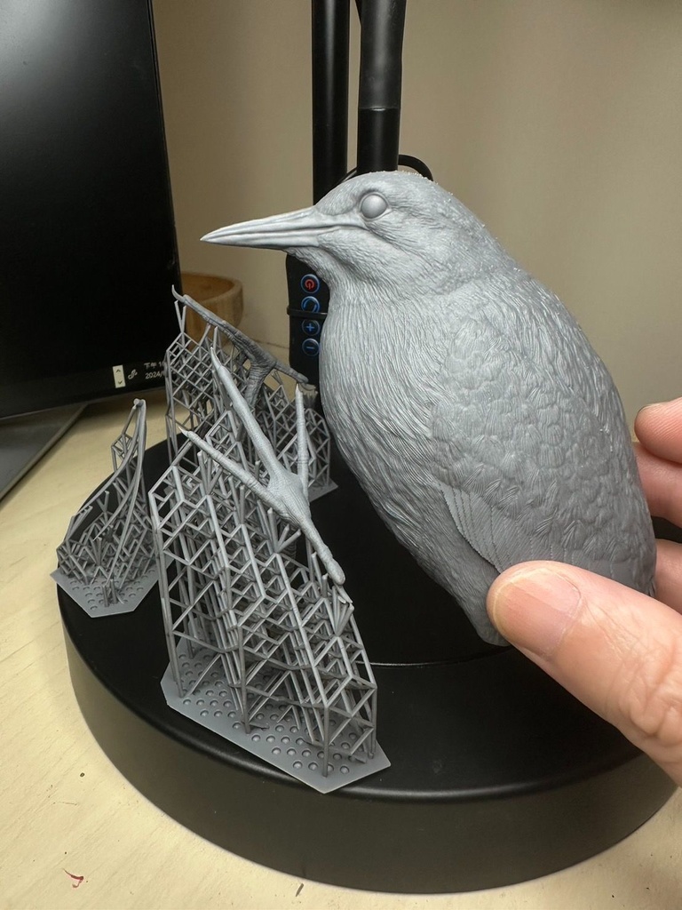 夜鷺 (ゴイサギ) 1:5