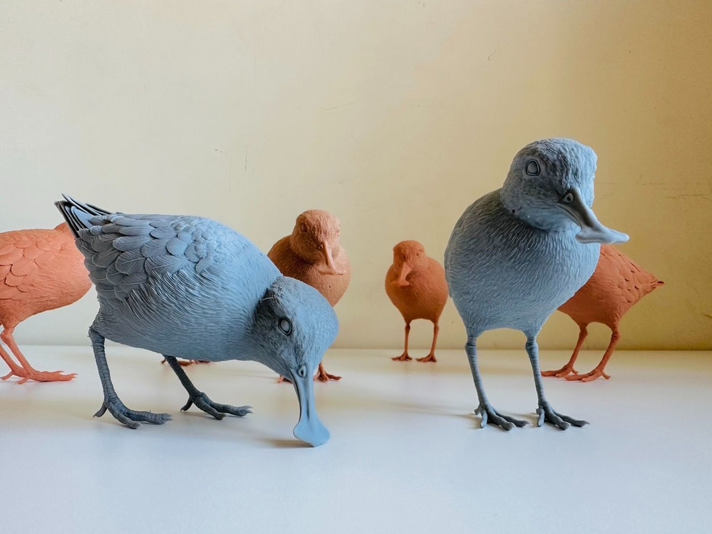 ヘラシギ 採餌姿(1:1)_未塗装キット