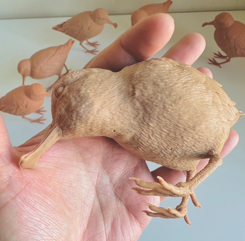 ヘラシギ 採餌姿(1:1)_未塗装キット