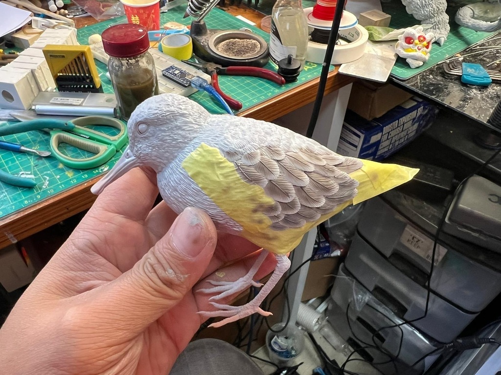 ヘラシギ 立ち姿(1:1)_未塗装キット