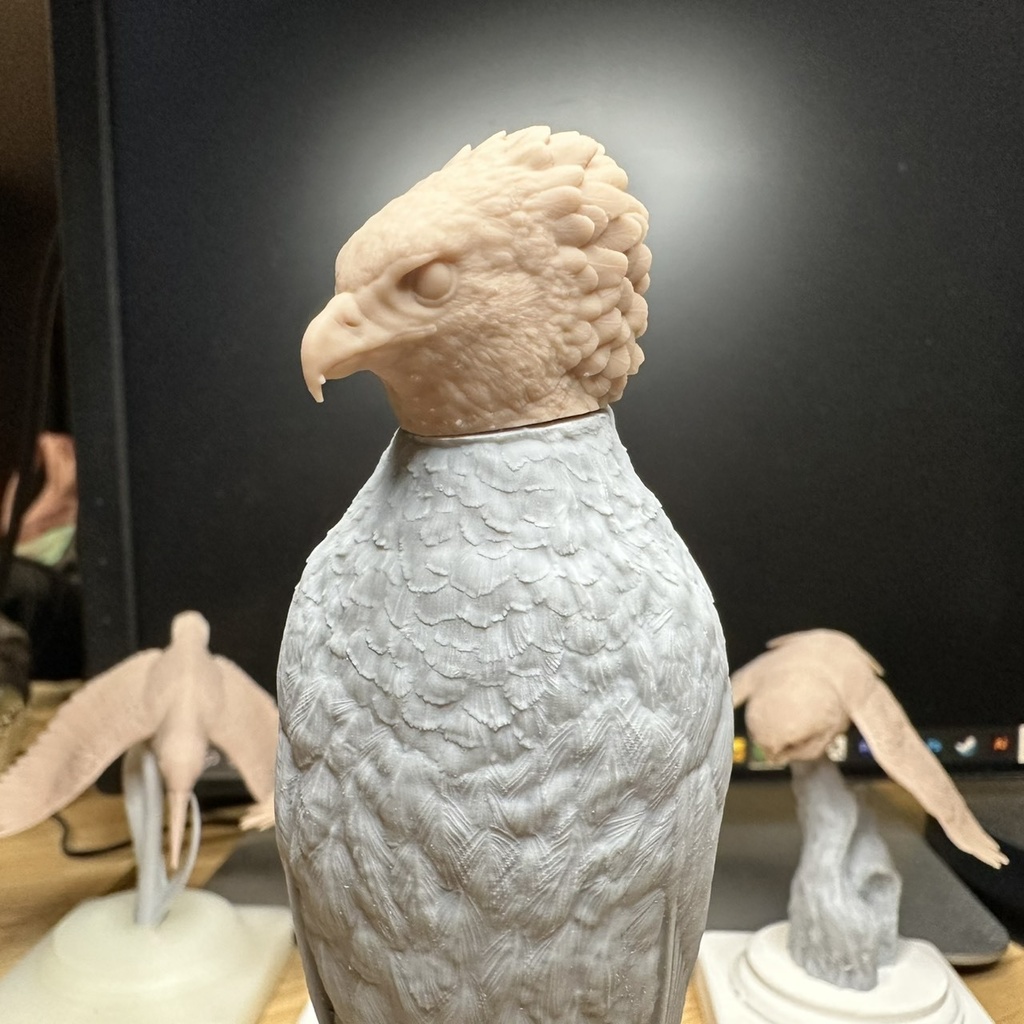 桌上野鳥圖鑑 カンムリワシ 立姿(頭部パーツ2種)