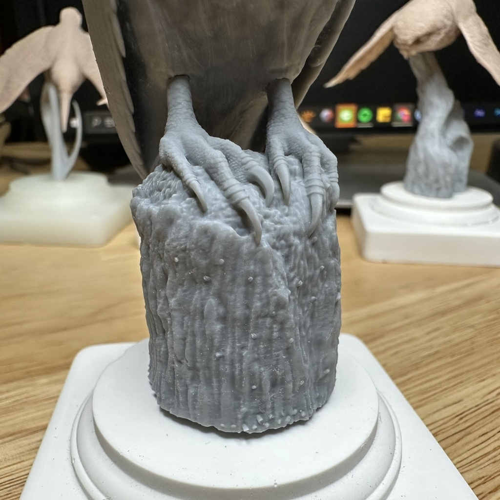 桌上野鳥圖鑑 カンムリワシ 立姿(頭部パーツ2種)