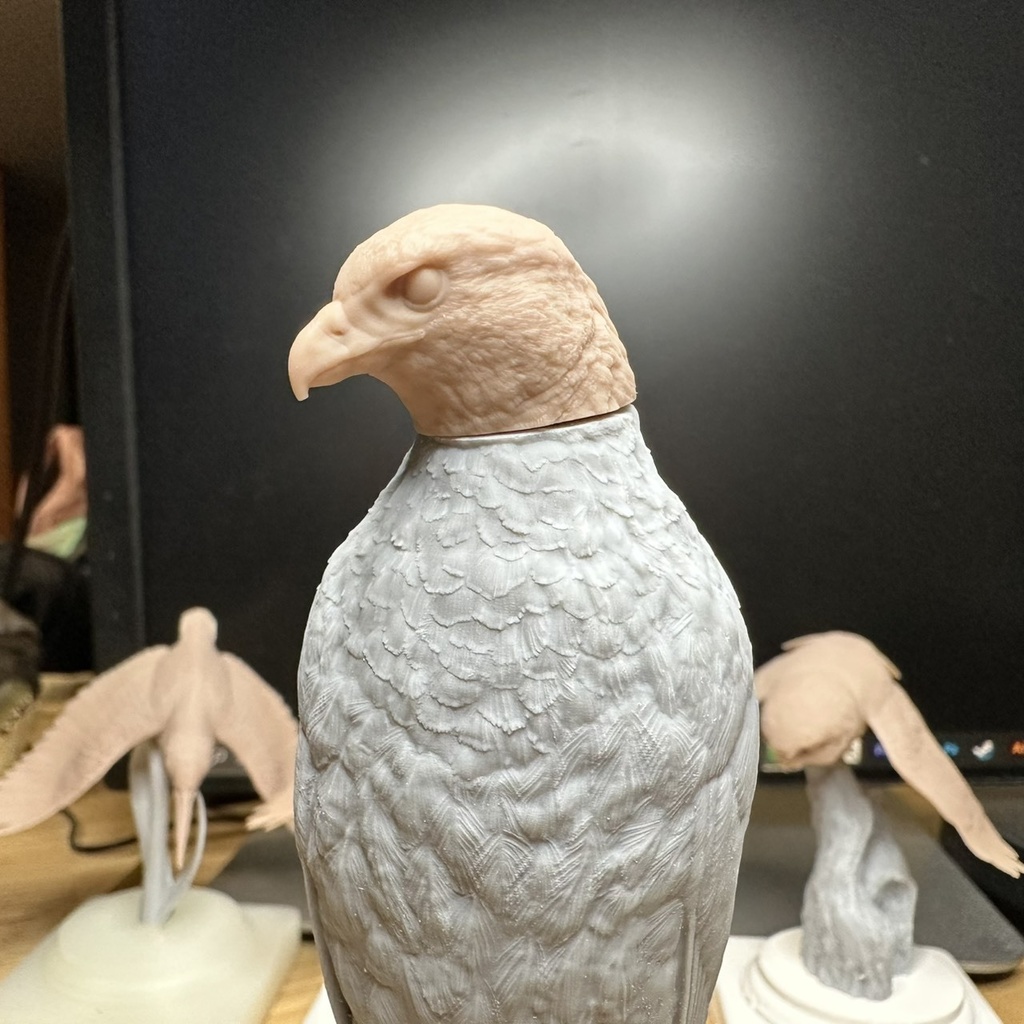 桌上野鳥圖鑑 カンムリワシ 立姿(頭部パーツ2種)