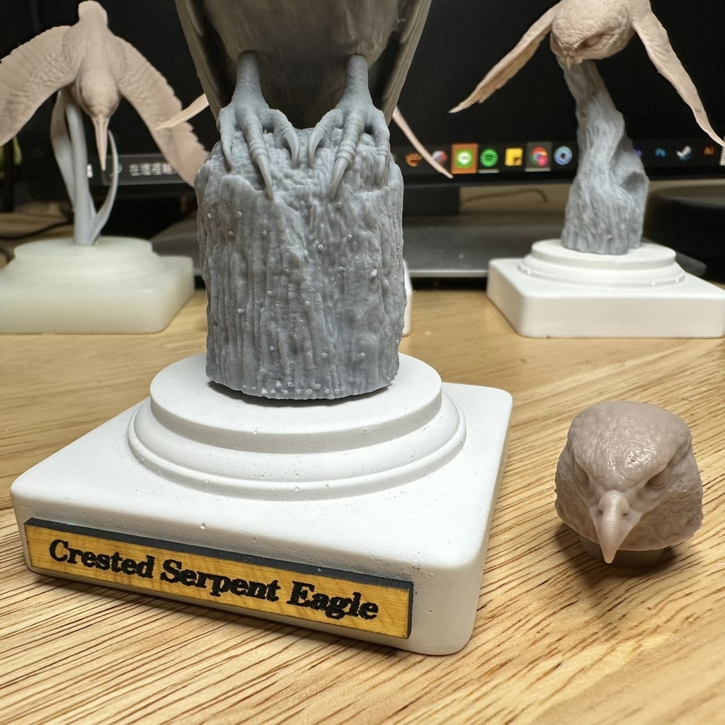 桌上野鳥圖鑑 カンムリワシ 立姿(頭部パーツ2種)