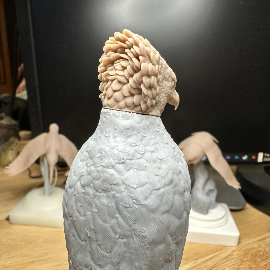 桌上野鳥圖鑑 カンムリワシ 立姿(頭部パーツ2種)