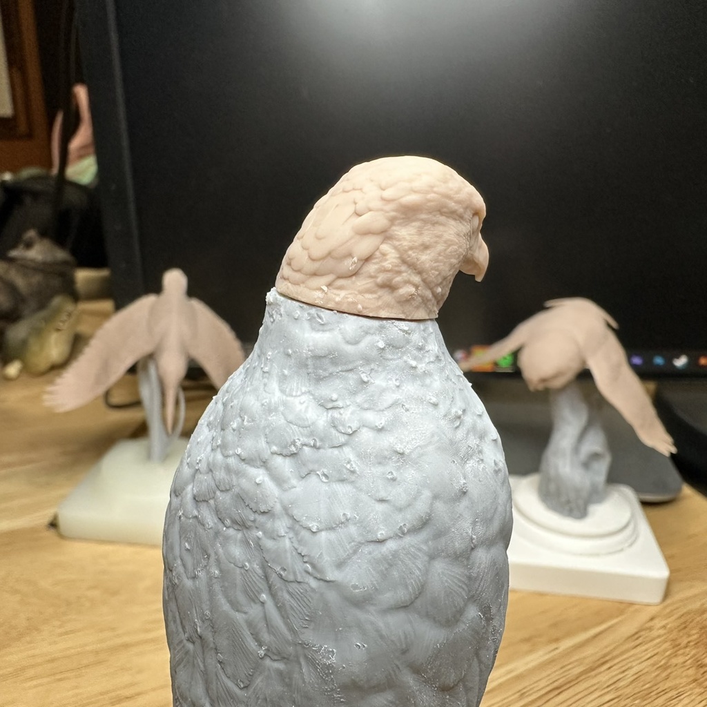 桌上野鳥圖鑑 カンムリワシ 立姿(頭部パーツ2種)