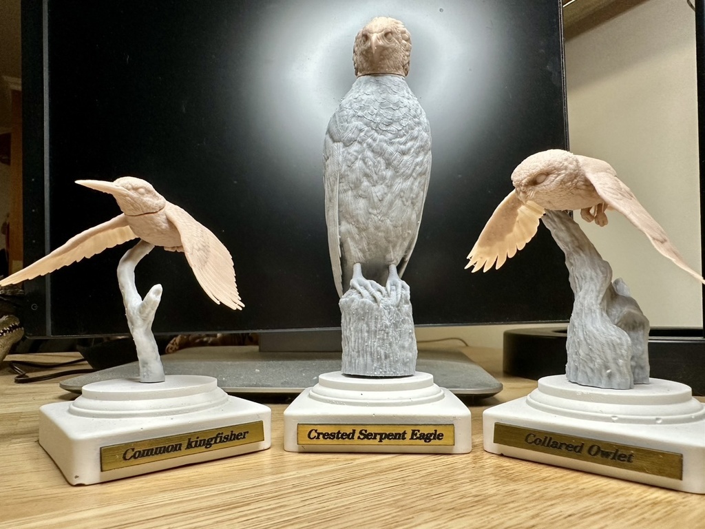 桌上野鳥図鑑 -ヒメフクロウ(飛行版)_未塗装キット