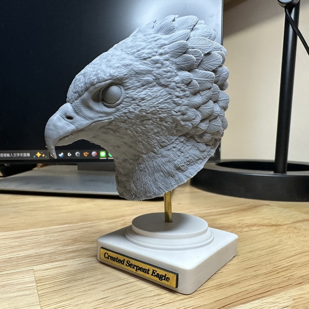 カンムリワシ ドパーツ(開冠)_未塗装キット