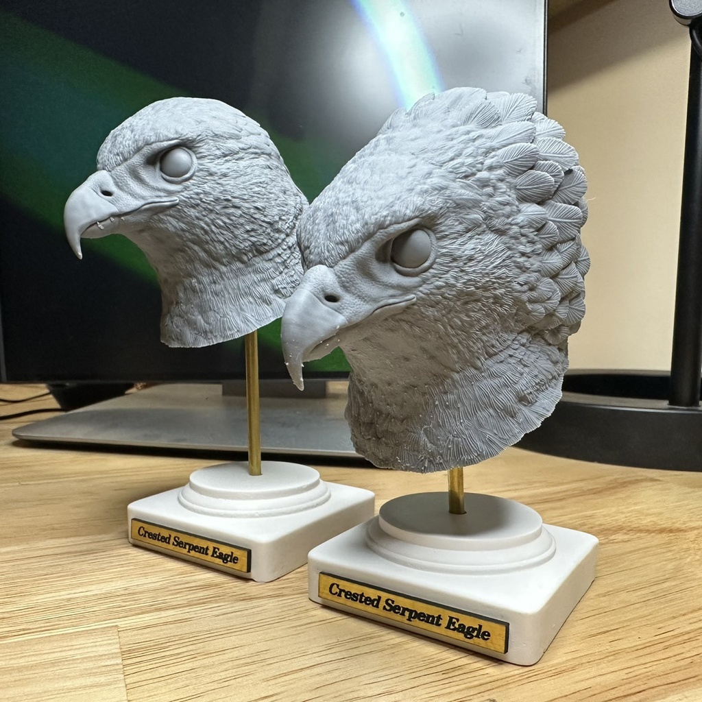 カンムリワシ ドパーツ(開冠)_未塗装キット