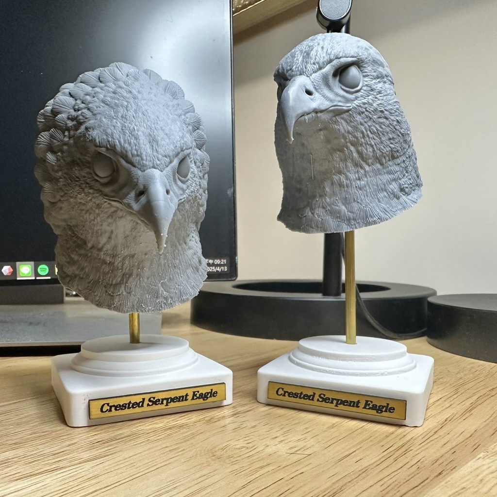 カンムリワシ ドパーツ(開冠)_未塗装キット