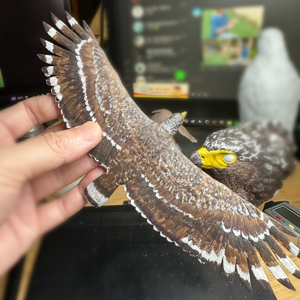 カンムリワシ 飛行形態(翼幅20cm)_未塗装キット