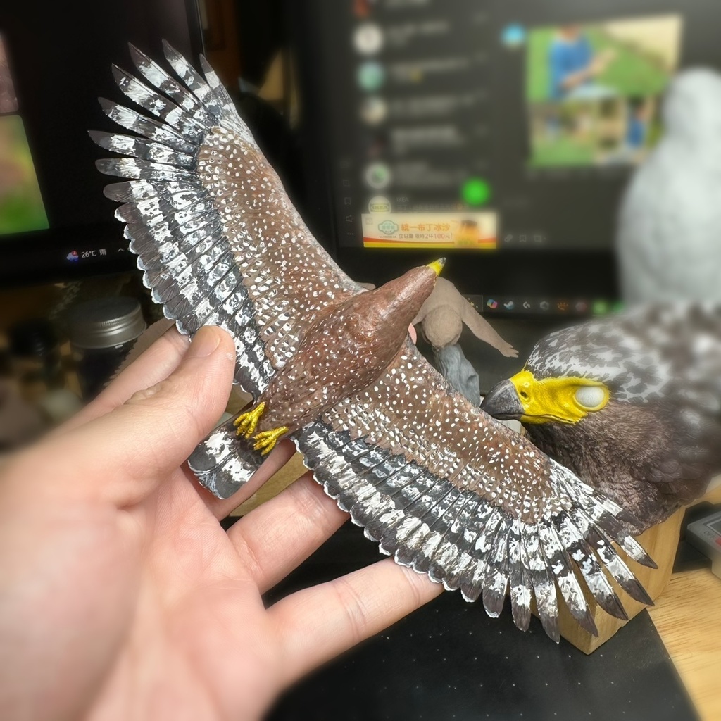 カンムリワシ 飛行形態(翼幅20cm)_未塗装キット