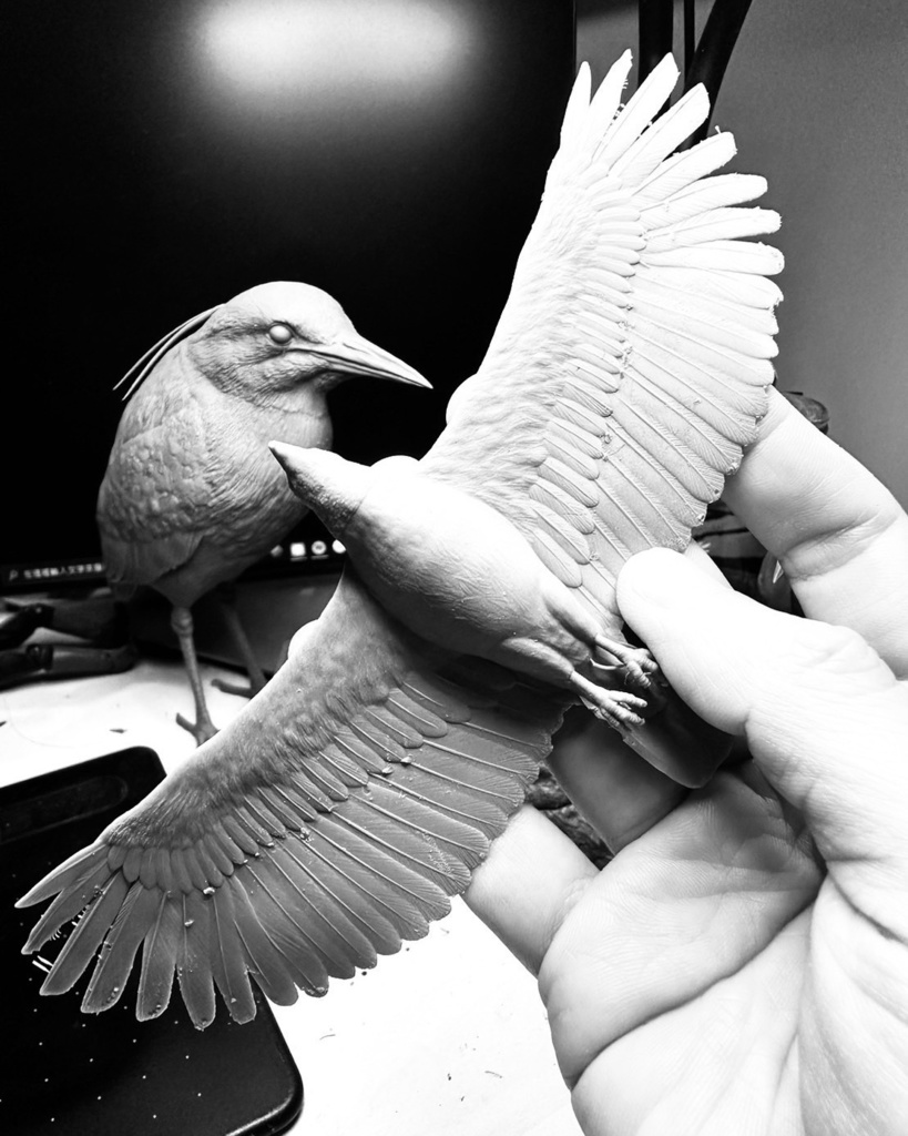 カンムリワシ 飛行形態(翼幅20cm)_未塗装キット