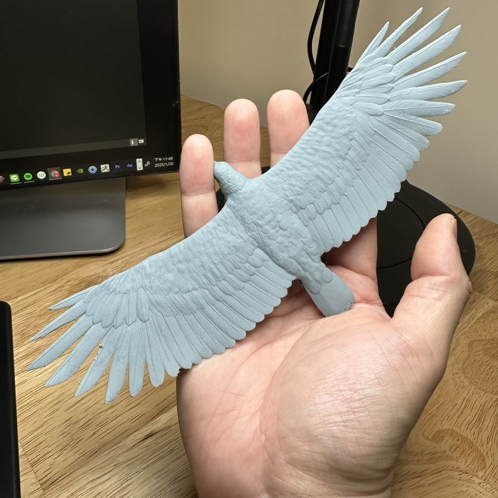 カンムリワシ 飛行形態（翼幅20cm）_未塗装キット