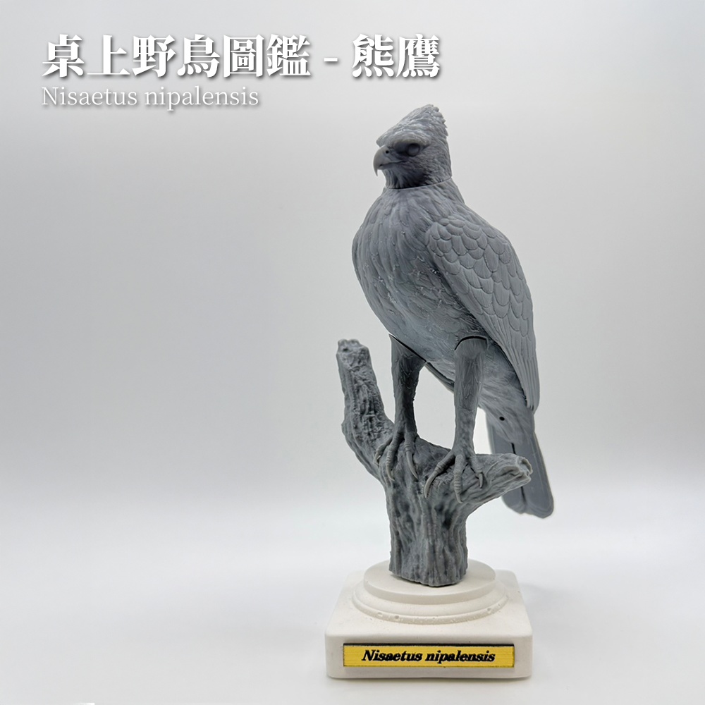 【印活物】「桌上野鳥図鑑」クマタカ リアルフィギュア | Mountain Hawk-Eagle ( Nisaetus nipalensis )